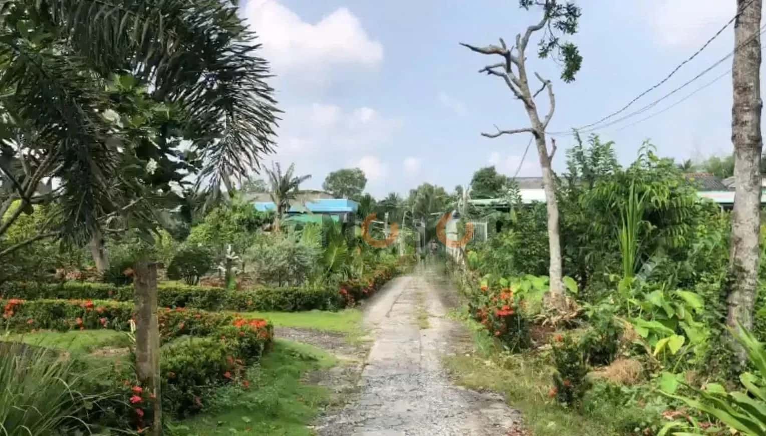 Hình ảnh nhà 3 Hình ảnh nhà 3