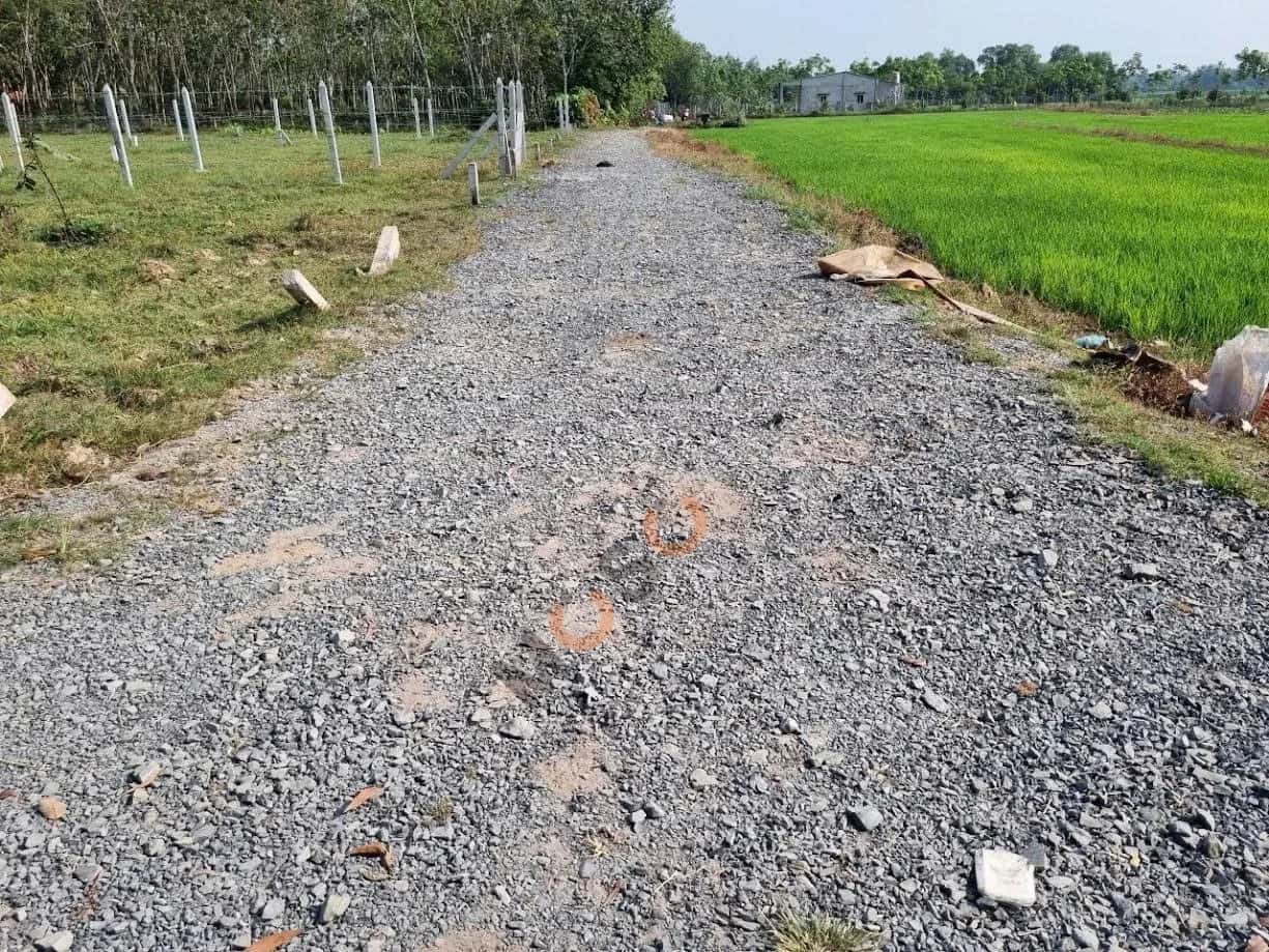 Bán đất Thửa 232 - tờ 29 Huyện Dương Minh Châu, Tây Ninh – giá 450 triệu — Hình 3 Bán đất Thửa 232 - tờ 29 Huyện Dương Minh Châu, Tây Ninh – giá 450 triệu — Hình 3