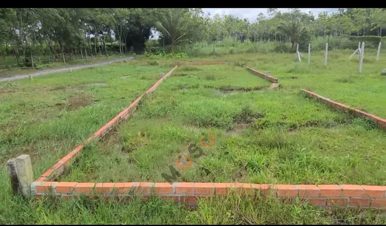Bán đất Thửa 232 - tờ 29 Huyện Dương Minh Châu, Tây Ninh – giá 450 triệu Bán đất Thửa 232 - tờ 29 Huyện Dương Minh Châu, Tây Ninh – giá 450 triệu