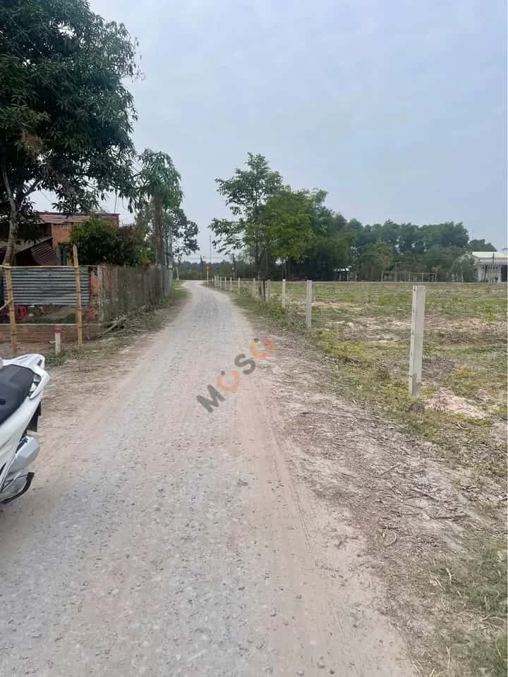 Hình ảnh nhà 3 Hình ảnh nhà 3