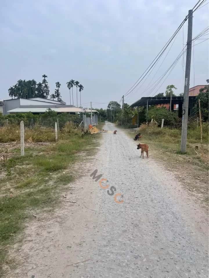 Hình ảnh nhà 2 Hình ảnh nhà 2