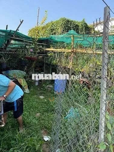 Bán BĐS khác Tam Bình, Vĩnh Long – giá 600 triệu Bán BĐS khác Tam Bình, Vĩnh Long – giá 600 triệu