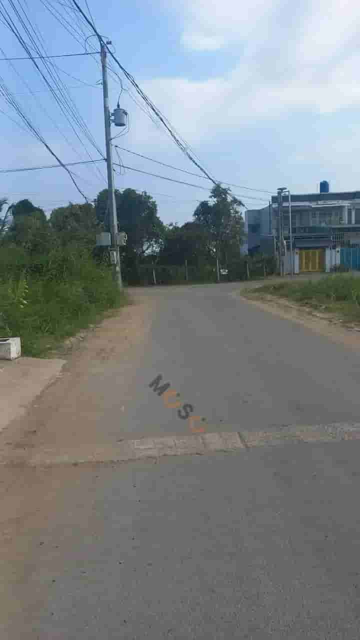 Image Image