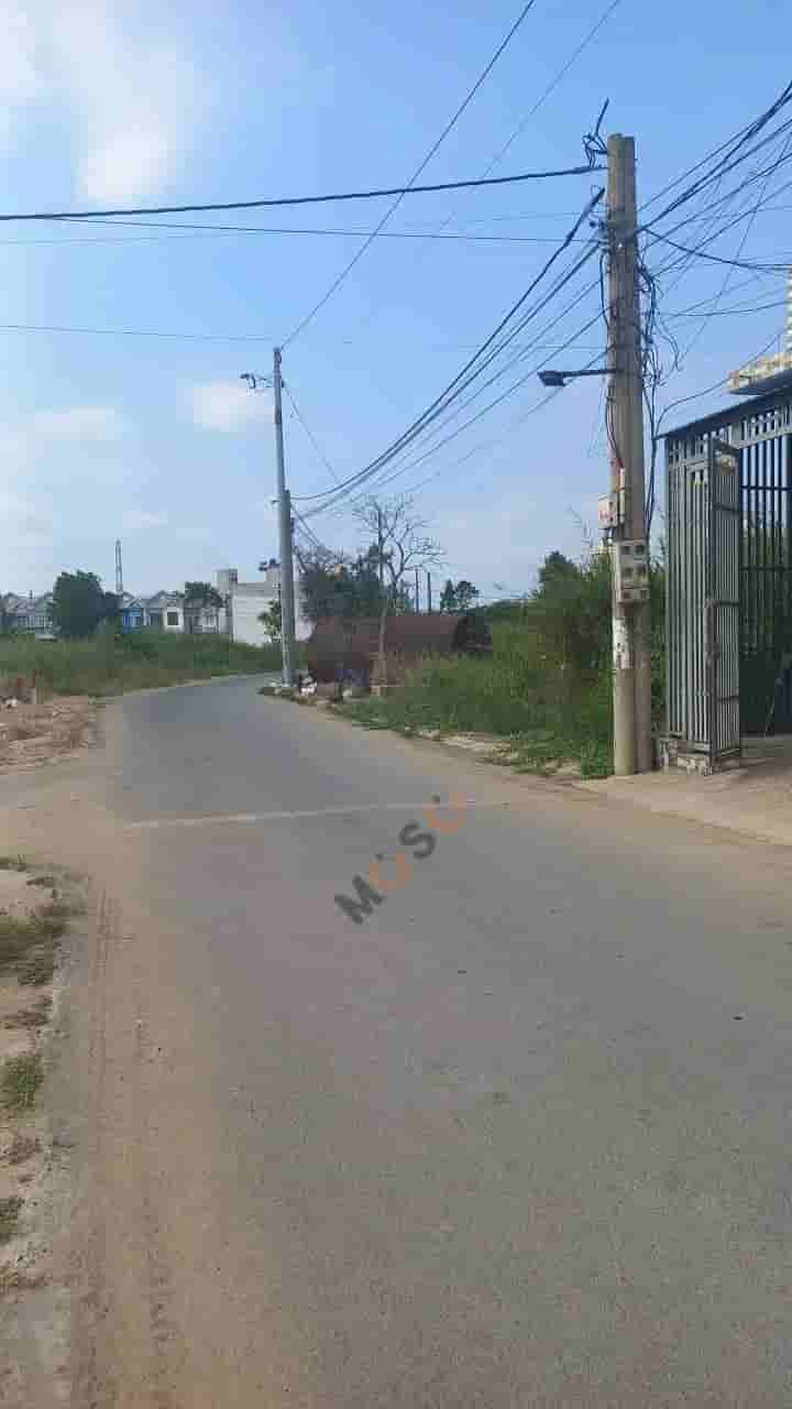Image Image