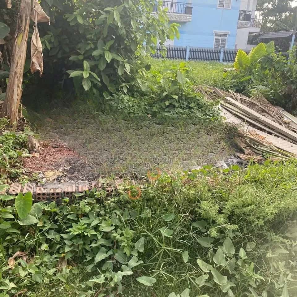 Hình ảnh nhà 2 Hình ảnh nhà 2