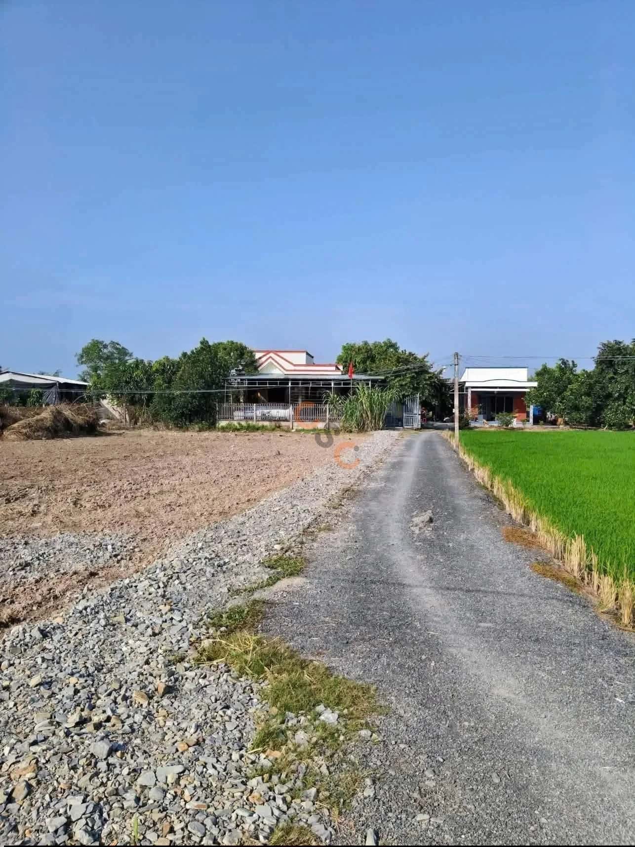Bán đất Thửa 1236 - Tờ 49 khu phố Hòa Thân Thành phố Gò Công, Tiền Giang – giá 462 triệu — Hình 2 Bán đất Thửa 1236 - Tờ 49 khu phố Hòa Thân Thành phố Gò Công, Tiền Giang – giá 462 triệu — Hình 2