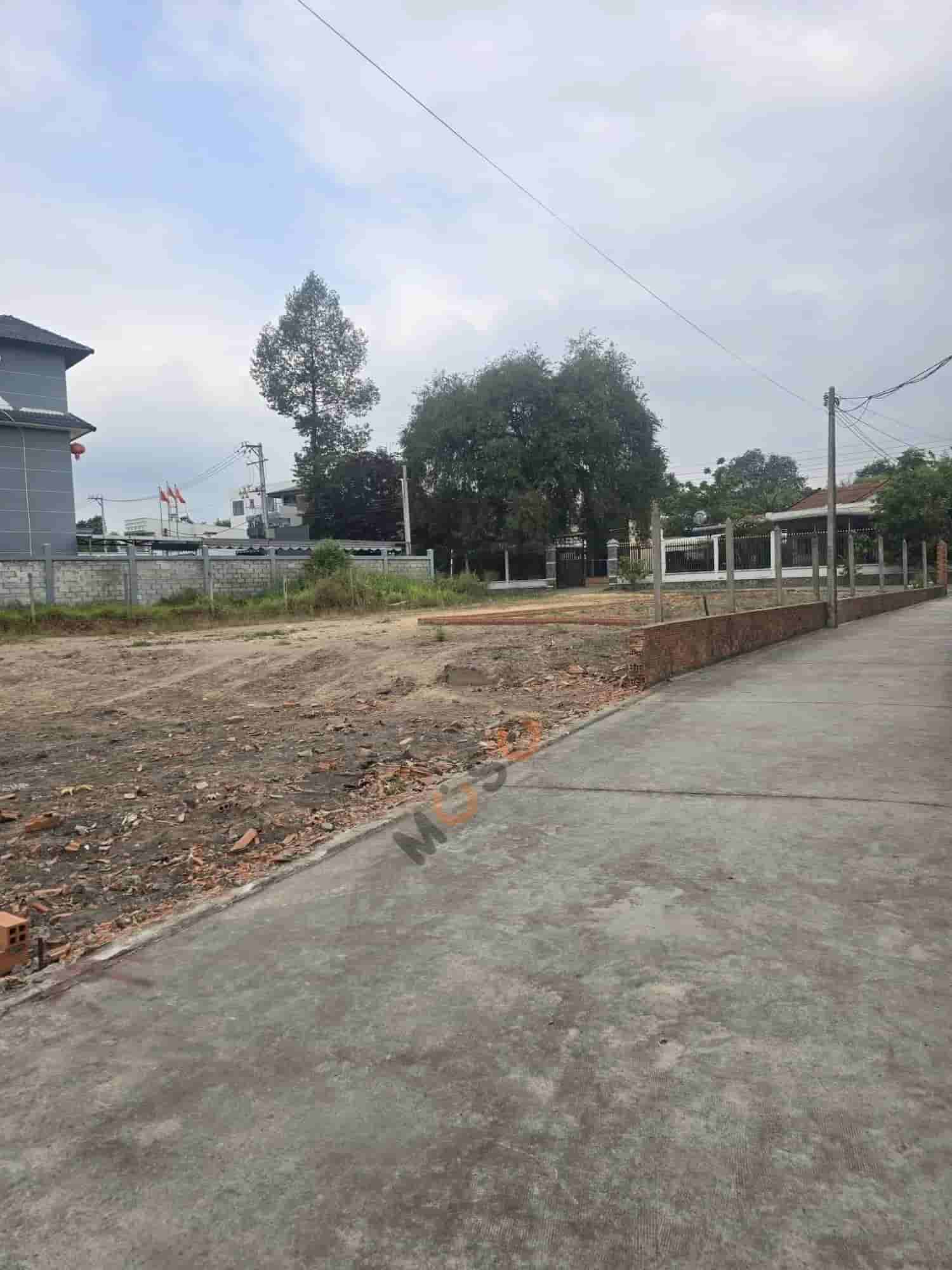 Image Image
