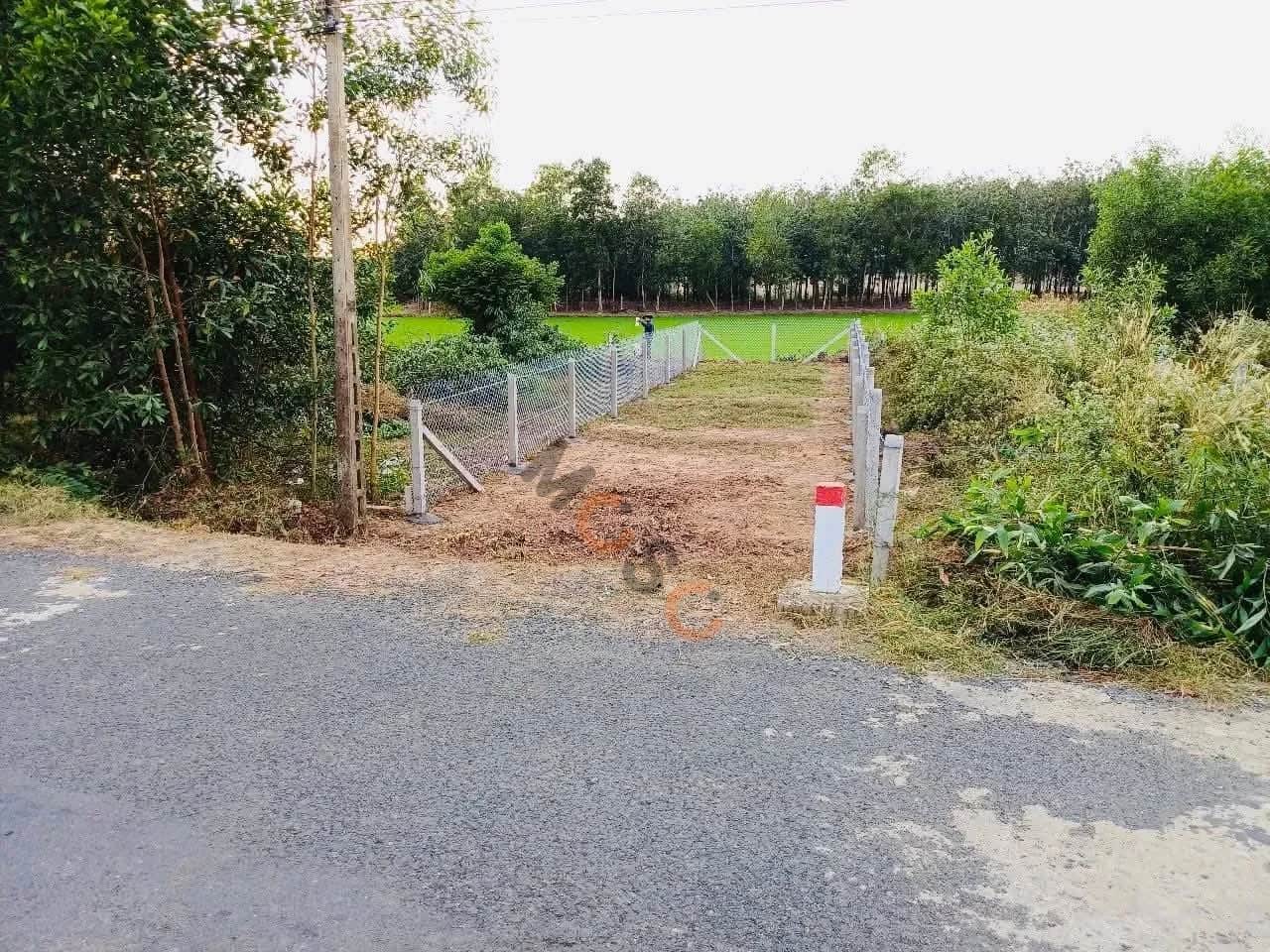 Bán đất Thửa 61 tờ 20, ấp Hoà An Huyện Châu Thành, Tây Ninh – giá 299 triệu Bán đất Thửa 61 tờ 20, ấp Hoà An Huyện Châu Thành, Tây Ninh – giá 299 triệu