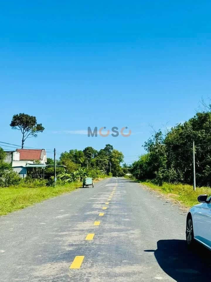 Bán đất Thửa 61 tờ 20, ấp Hoà An Huyện Châu Thành, Tây Ninh – giá 299 triệu — Hình 3 Bán đất Thửa 61 tờ 20, ấp Hoà An Huyện Châu Thành, Tây Ninh – giá 299 triệu — Hình 3