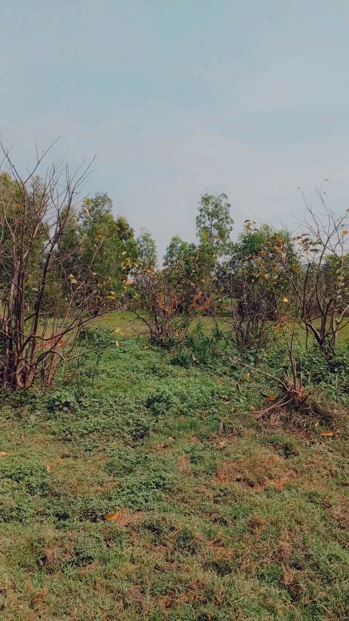Hình ảnh nhà 3 Hình ảnh nhà 3