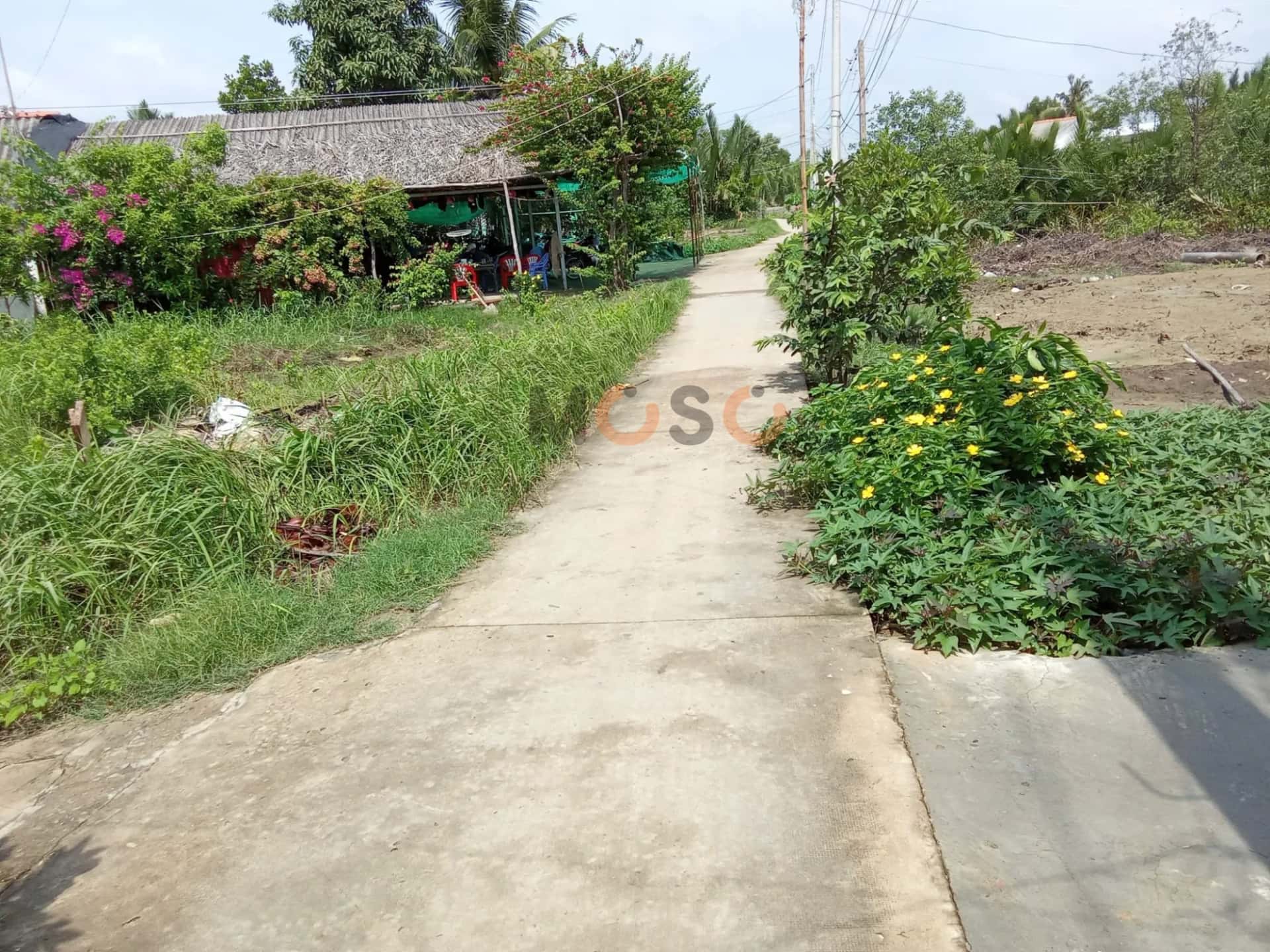 Hình ảnh nhà 2 Hình ảnh nhà 2