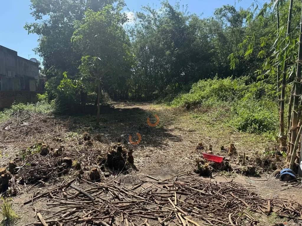 Bán đất đường số 39 Huyện Dương Minh Châu, Tây Ninh – giá 900 triệu — Hình 2 Bán đất đường số 39 Huyện Dương Minh Châu, Tây Ninh – giá 900 triệu — Hình 2