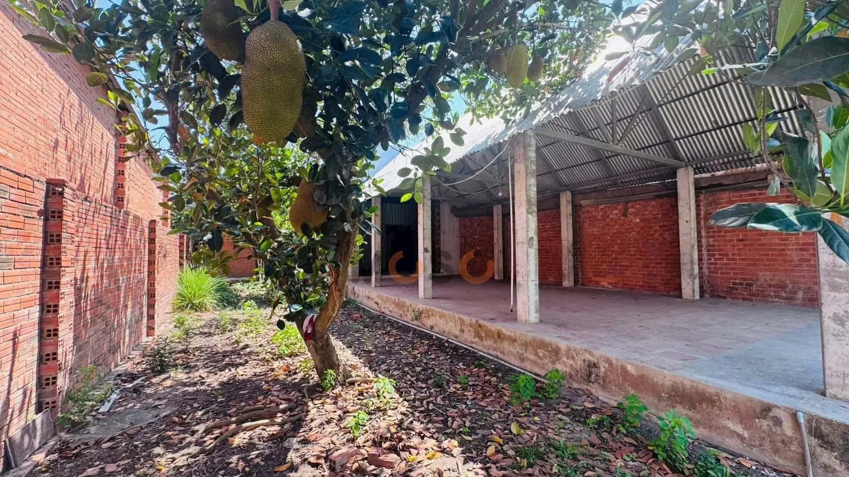 Bán nhà hẻm Khu phố Tường Lưu Thị xã Hòa Thành, Tây Ninh – 1 phòng ngủ, giá 1.5 tỷ — Hình 3 Bán nhà hẻm Khu phố Tường Lưu Thị xã Hòa Thành, Tây Ninh – 1 phòng ngủ, giá 1.5 tỷ — Hình 3