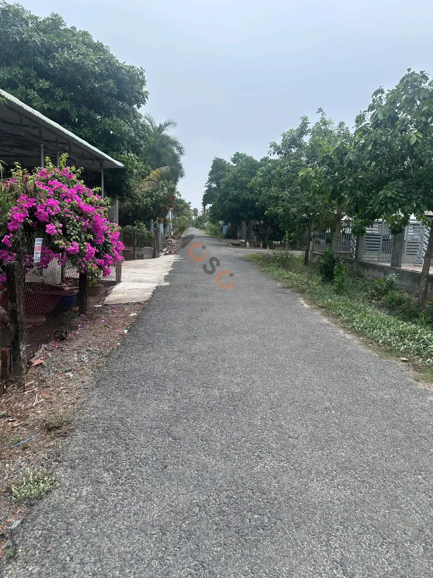 Bán đất đường DT 781 Huyện Châu Thành, Tây Ninh – giá 680 triệu — Hình 3 Bán đất đường DT 781 Huyện Châu Thành, Tây Ninh – giá 680 triệu — Hình 3