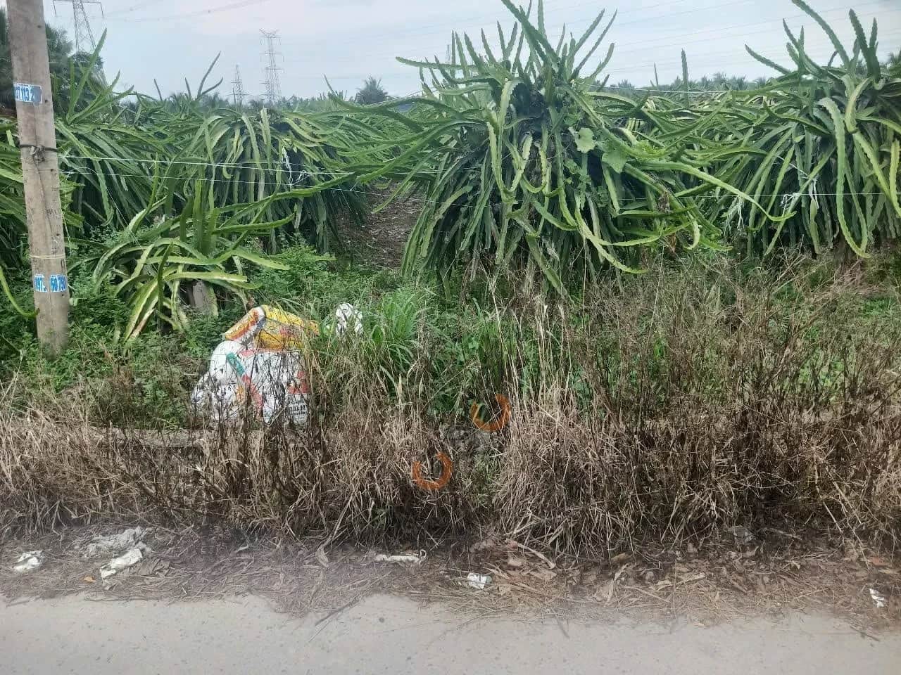 Bán đất Ấp Hòa Phú Huyện Chợ Gạo, Tiền Giang – giá 2.5 tỷ Bán đất Ấp Hòa Phú Huyện Chợ Gạo, Tiền Giang – giá 2.5 tỷ