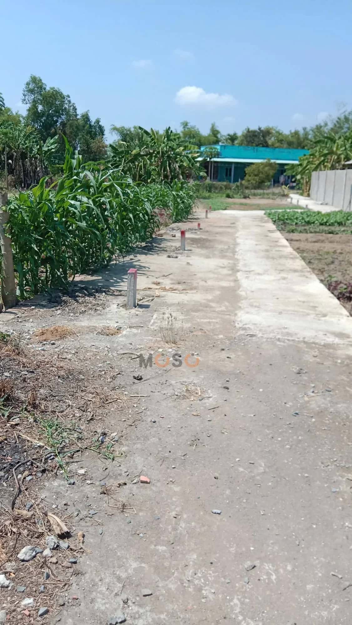 Hình ảnh nhà 2 Hình ảnh nhà 2
