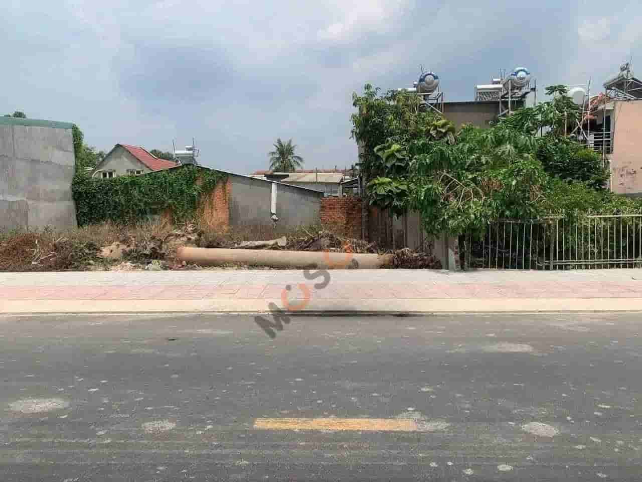 Image Image