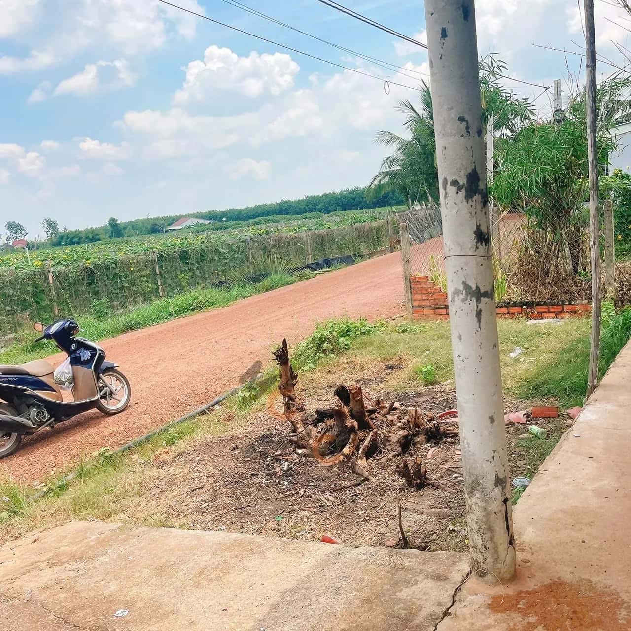 Bán đất đường 20 Huyện Dương Minh Châu, Tây Ninh – giá 1.4 tỷ — Hình 3 Bán đất đường 20 Huyện Dương Minh Châu, Tây Ninh – giá 1.4 tỷ — Hình 3