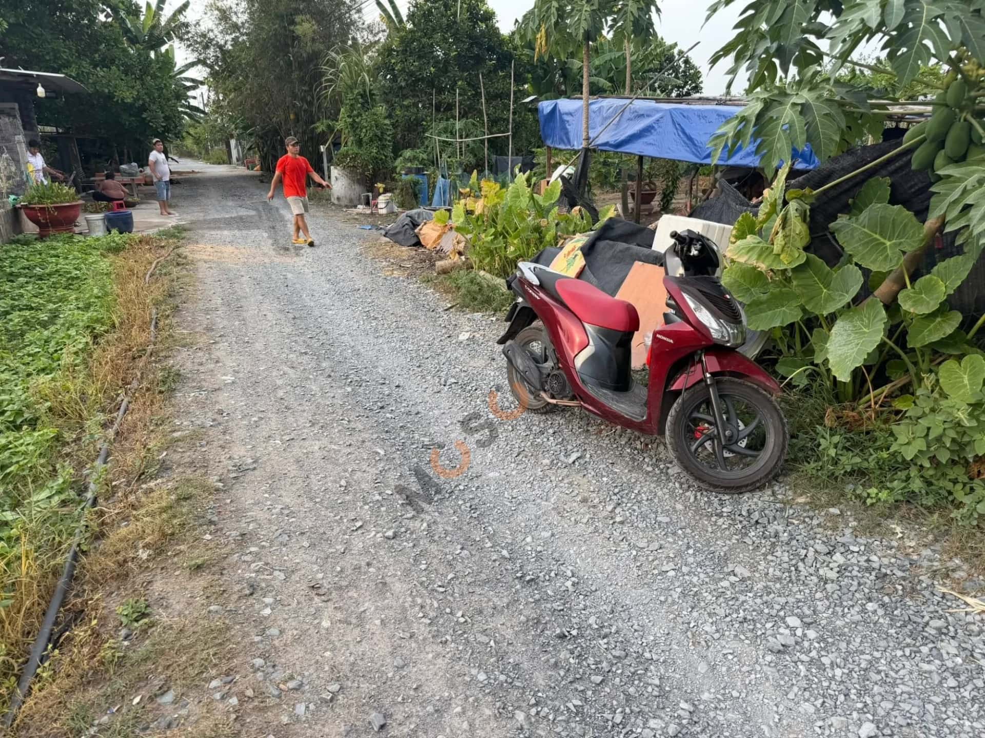 Hình ảnh nhà 2 Hình ảnh nhà 2