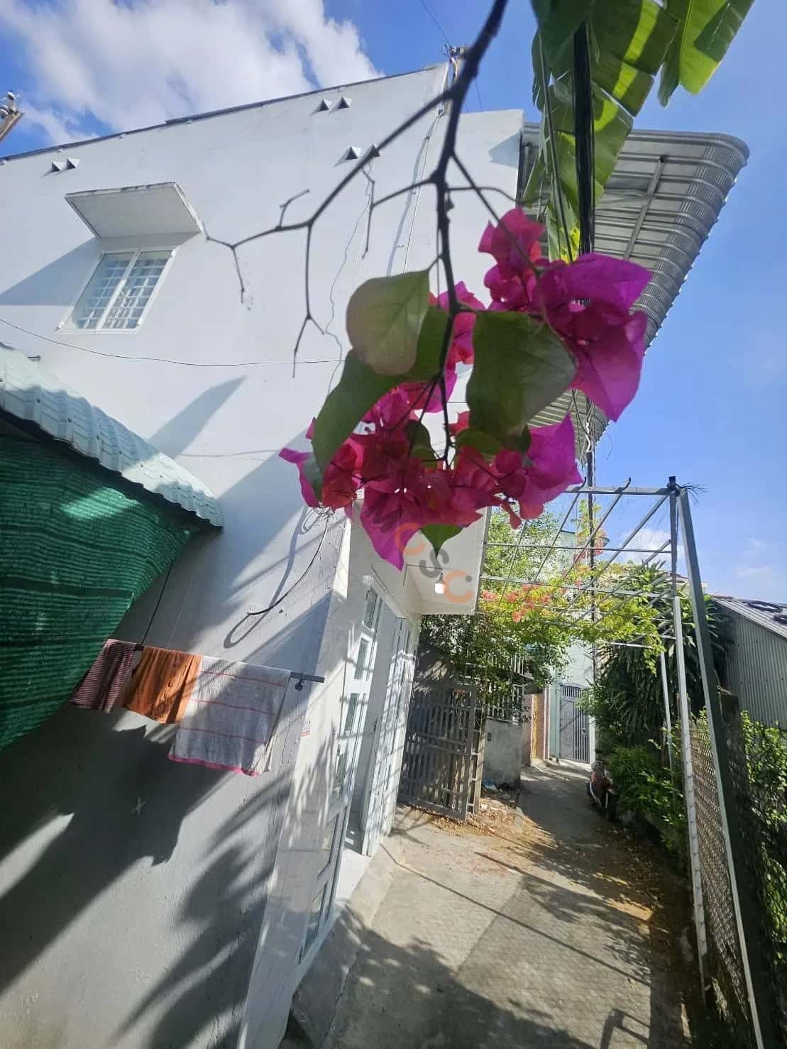 Hình ảnh nhà 2 Hình ảnh nhà 2