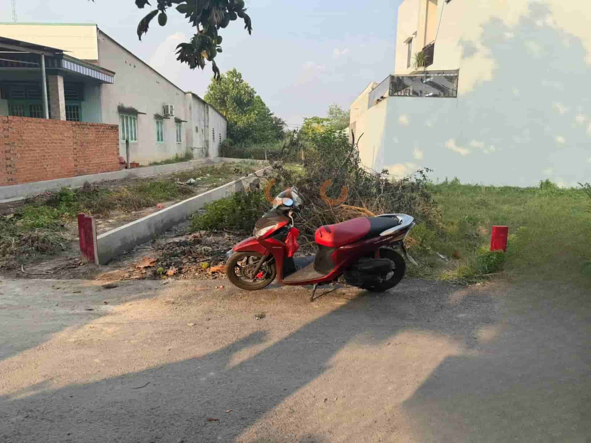 Image Image
