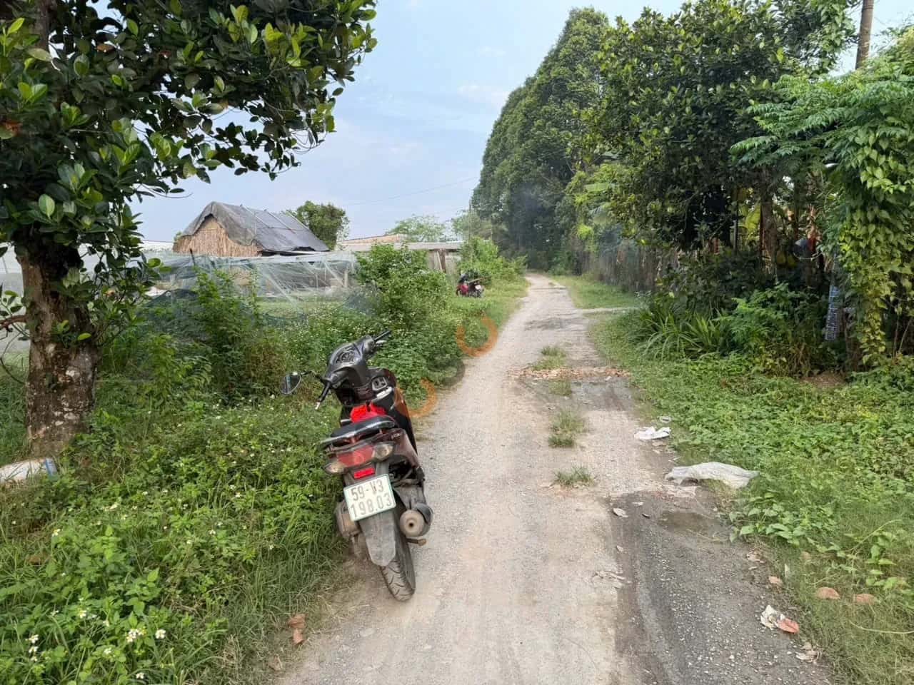 Bán đất Đường Huỳnh Minh Mương Huyện Củ Chi, TP.HCM – giá 2 tỷ — Hình 3 Bán đất Đường Huỳnh Minh Mương Huyện Củ Chi, TP.HCM – giá 2 tỷ — Hình 3