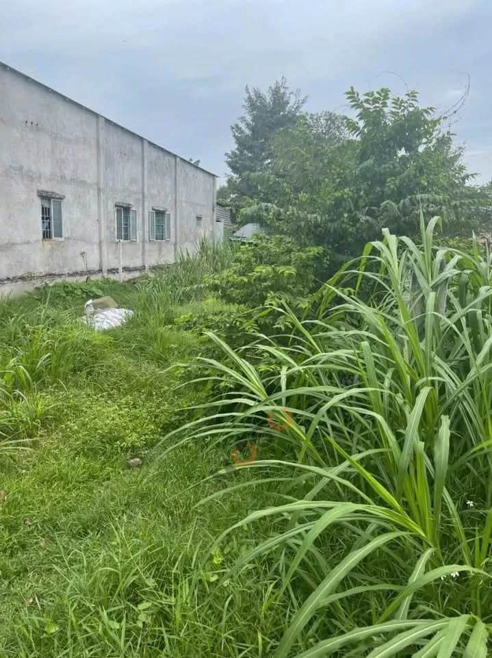 Bán đất đường số 16, ấp Hậu Huyện Củ Chi, TP.HCM – giá 3.9 tỷ Bán đất đường số 16, ấp Hậu Huyện Củ Chi, TP.HCM – giá 3.9 tỷ