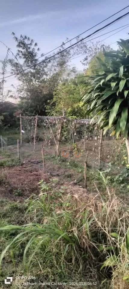 Bán đất Trương Thị Kiện Huyện Củ Chi, TP.HCM – giá 1.4 tỷ — Hình 2 Bán đất Trương Thị Kiện Huyện Củ Chi, TP.HCM – giá 1.4 tỷ — Hình 2