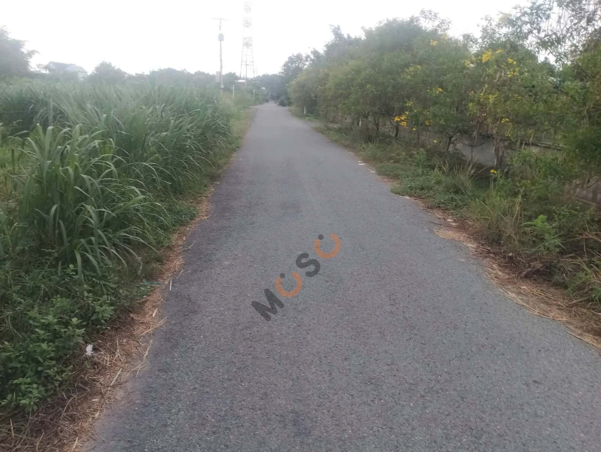 Bán đất đường 438 Huyện Củ Chi, TP.HCM – giá 5.8 tỷ — Hình 2 Bán đất đường 438 Huyện Củ Chi, TP.HCM – giá 5.8 tỷ — Hình 2