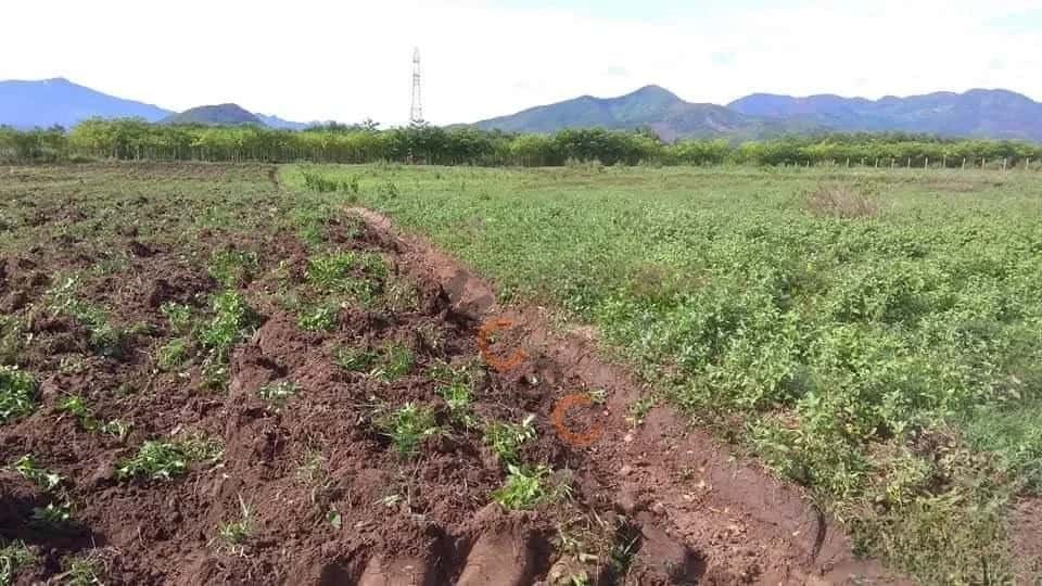 Hình ảnh nhà 2 Hình ảnh nhà 2