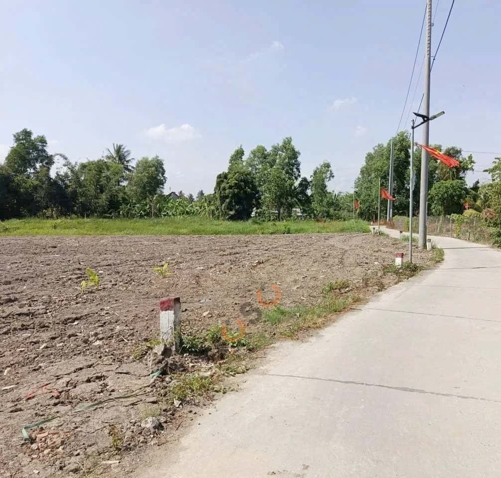 Hình ảnh nhà 2 Hình ảnh nhà 2