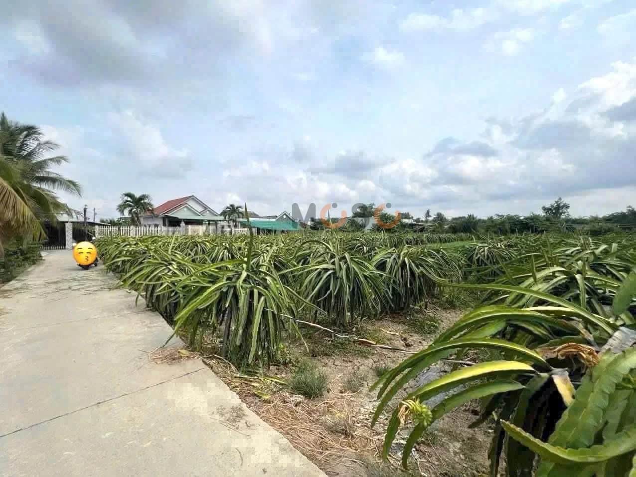 Bán đất Hẻm Châu Thị Kim Thành phố Tân An, Long An – giá 1.7 tỷ Bán đất Hẻm Châu Thị Kim Thành phố Tân An, Long An – giá 1.7 tỷ