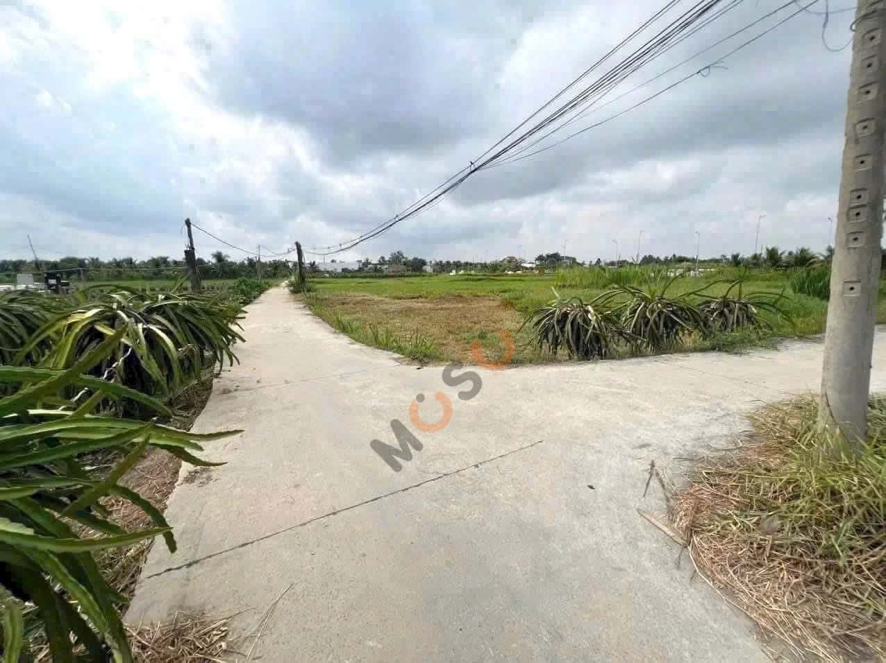 Bán đất Hẻm Châu Thị Kim Thành phố Tân An, Long An – giá 1.7 tỷ — Hình 2 Bán đất Hẻm Châu Thị Kim Thành phố Tân An, Long An – giá 1.7 tỷ — Hình 2