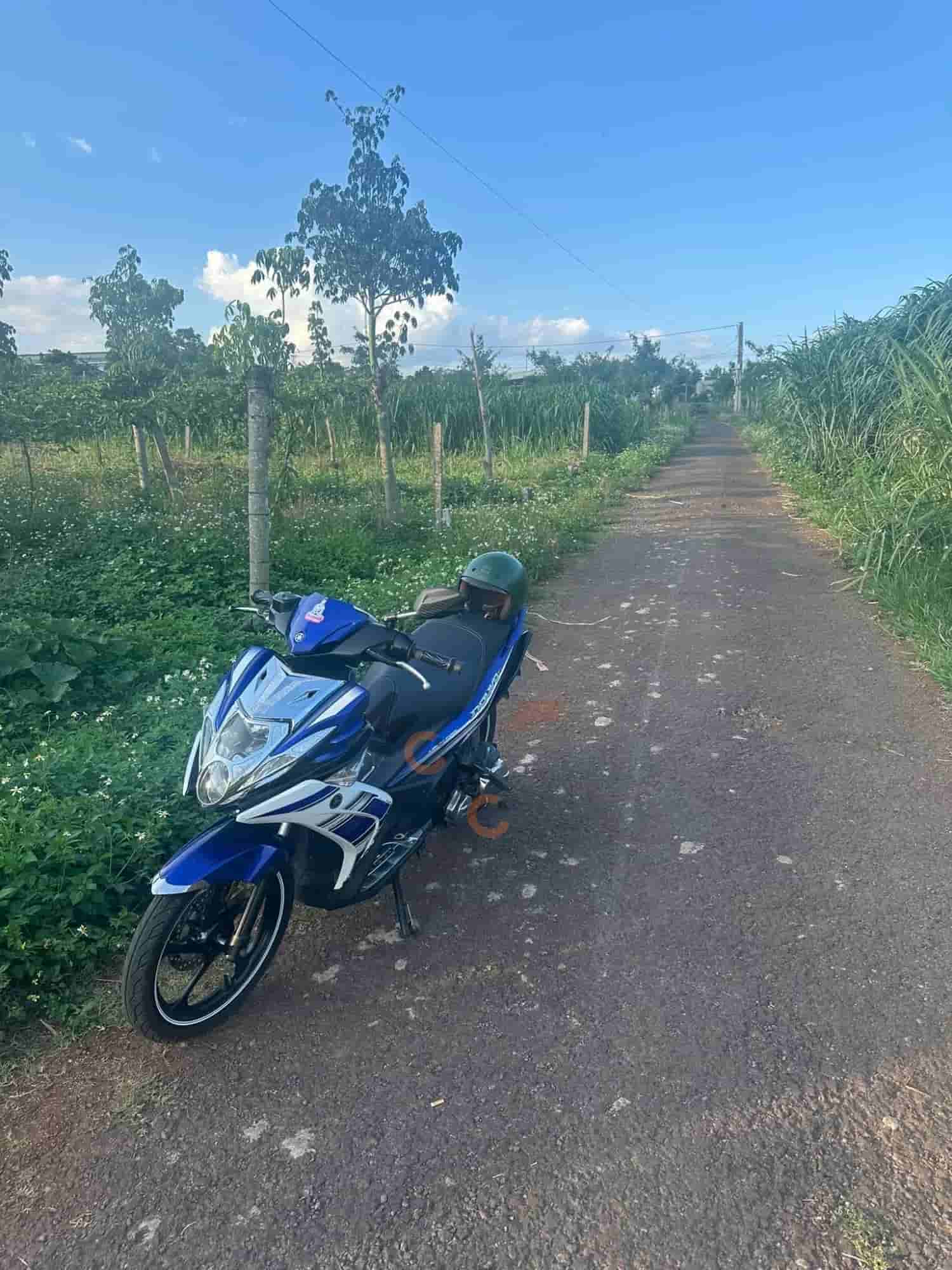 Image Image