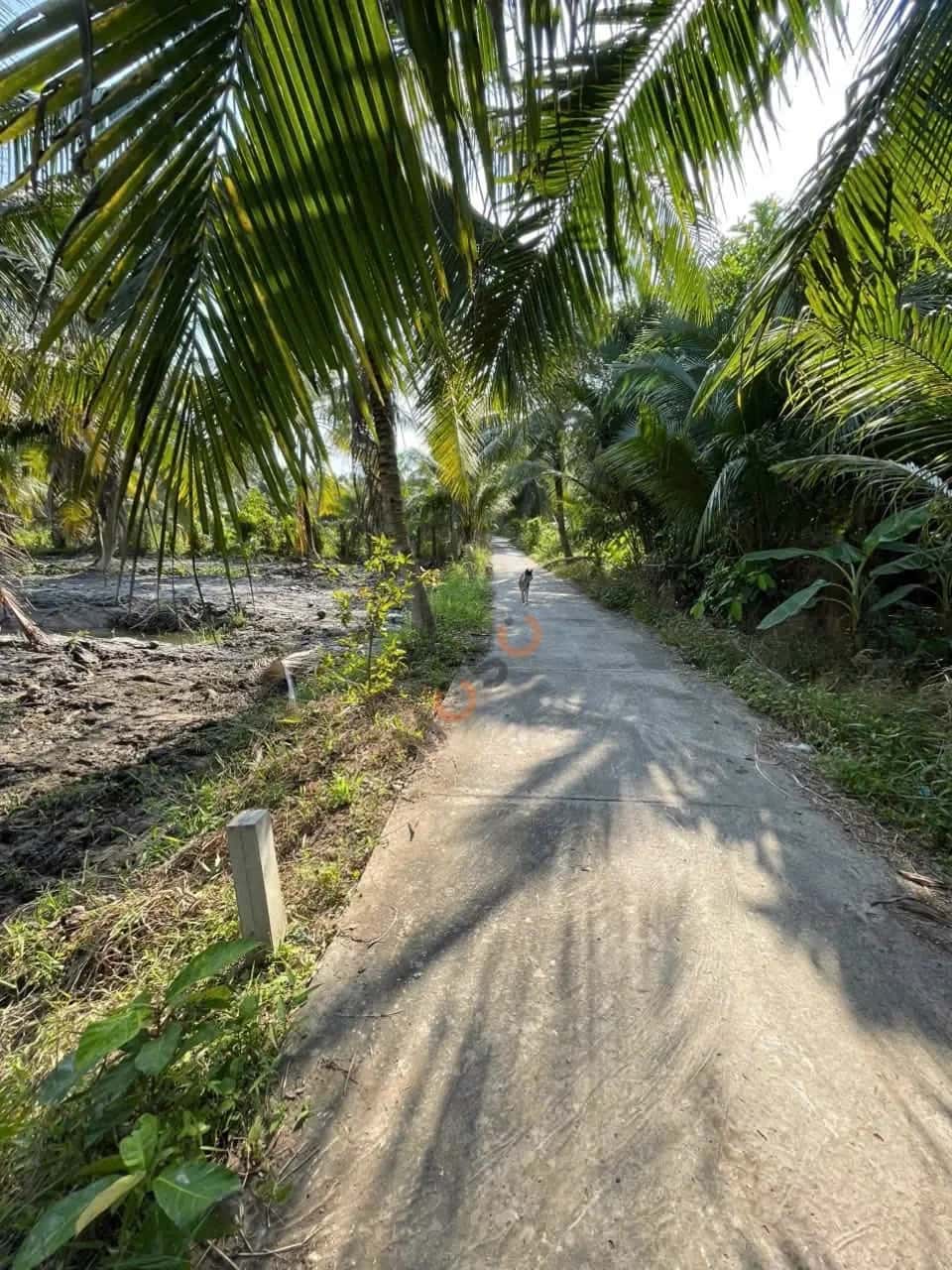 Bán đất đường Phạm Văn Đoàn, ấp Bình Trung AB Huyện Châu Thành, Tiền Giang – giá 1.9 tỷ — Hình 3 Bán đất đường Phạm Văn Đoàn, ấp Bình Trung AB Huyện Châu Thành, Tiền Giang – giá 1.9 tỷ — Hình 3