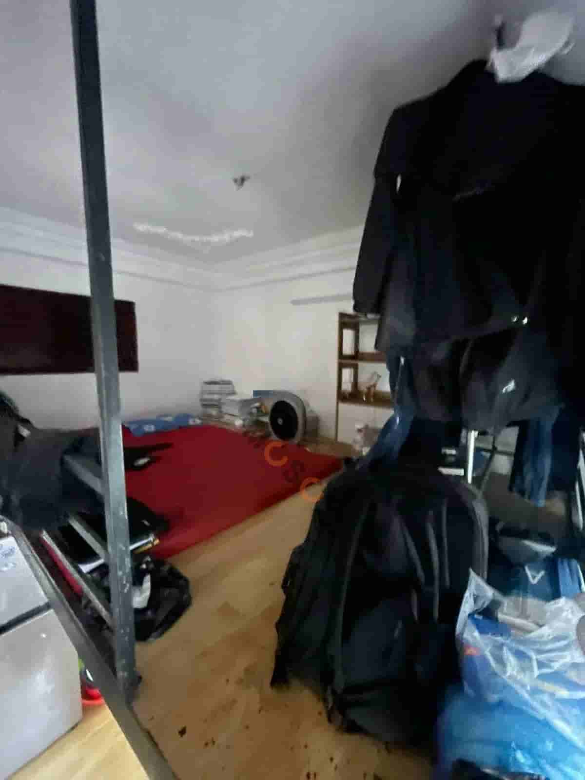 Image Image