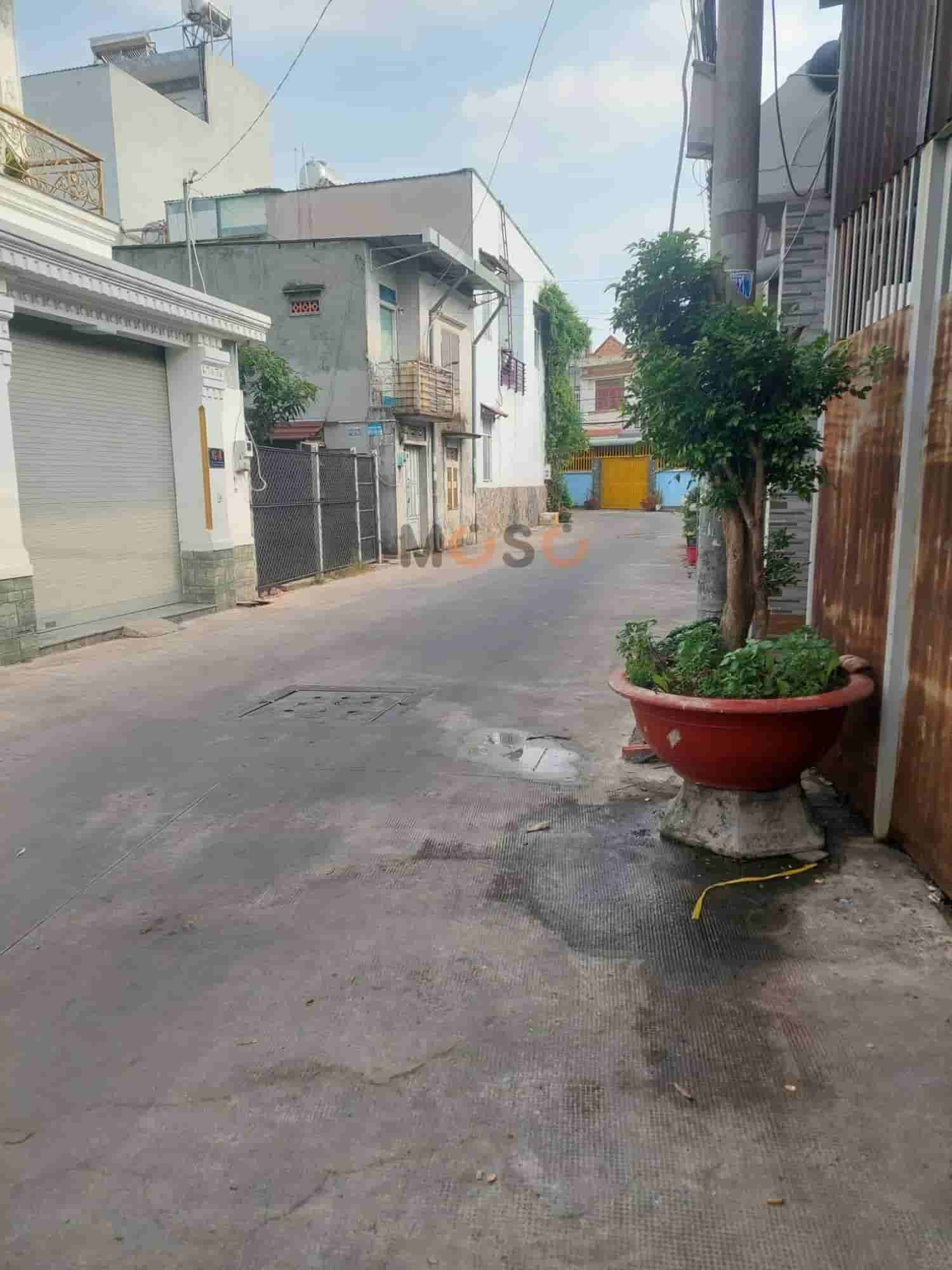 Image Image