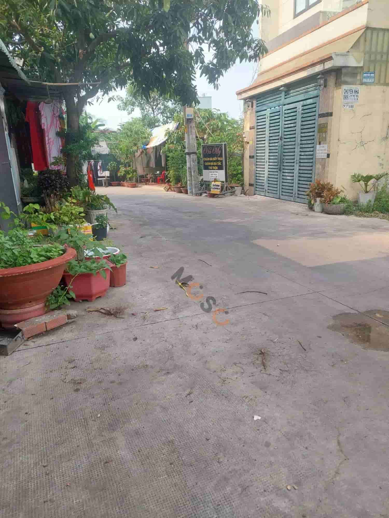 Image Image