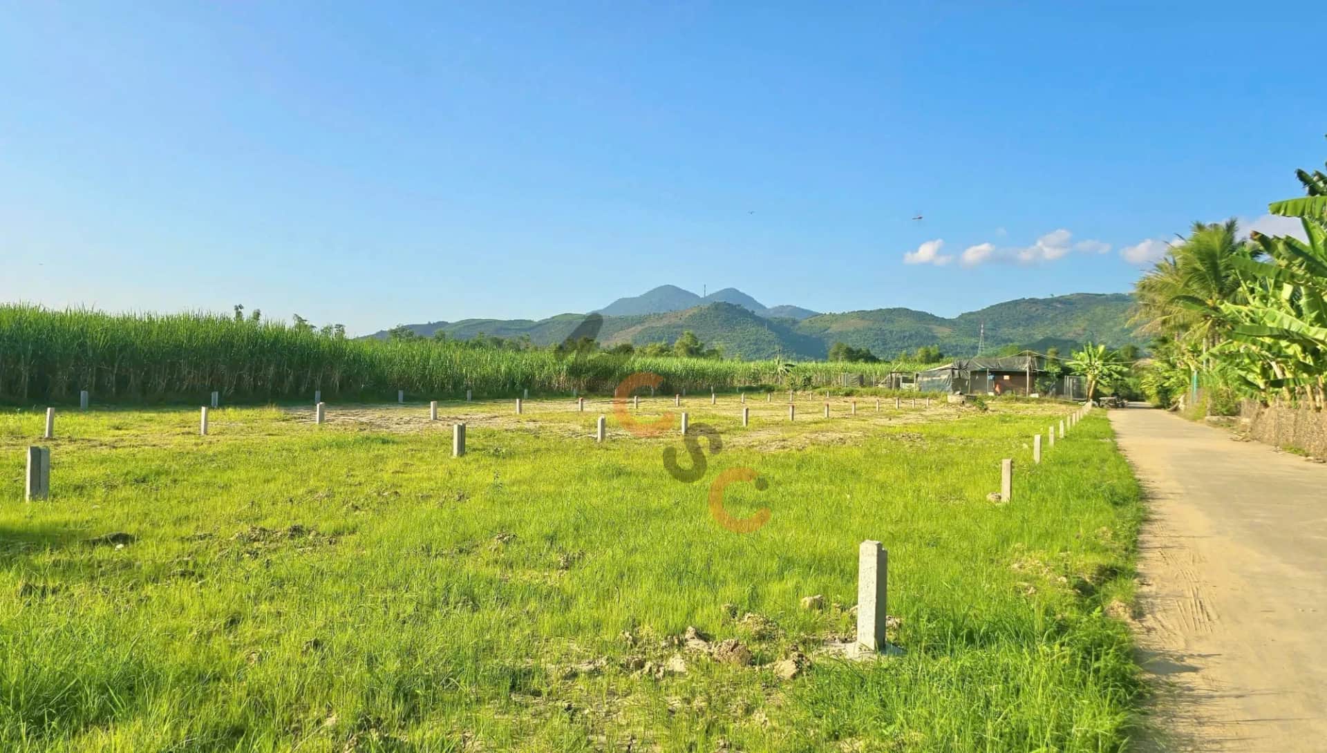 Bán đất Thành Hồ, thôn Phước Tuy Huyện Diên Khánh, Khánh Hòa – giá 650 triệu Bán đất Thành Hồ, thôn Phước Tuy Huyện Diên Khánh, Khánh Hòa – giá 650 triệu