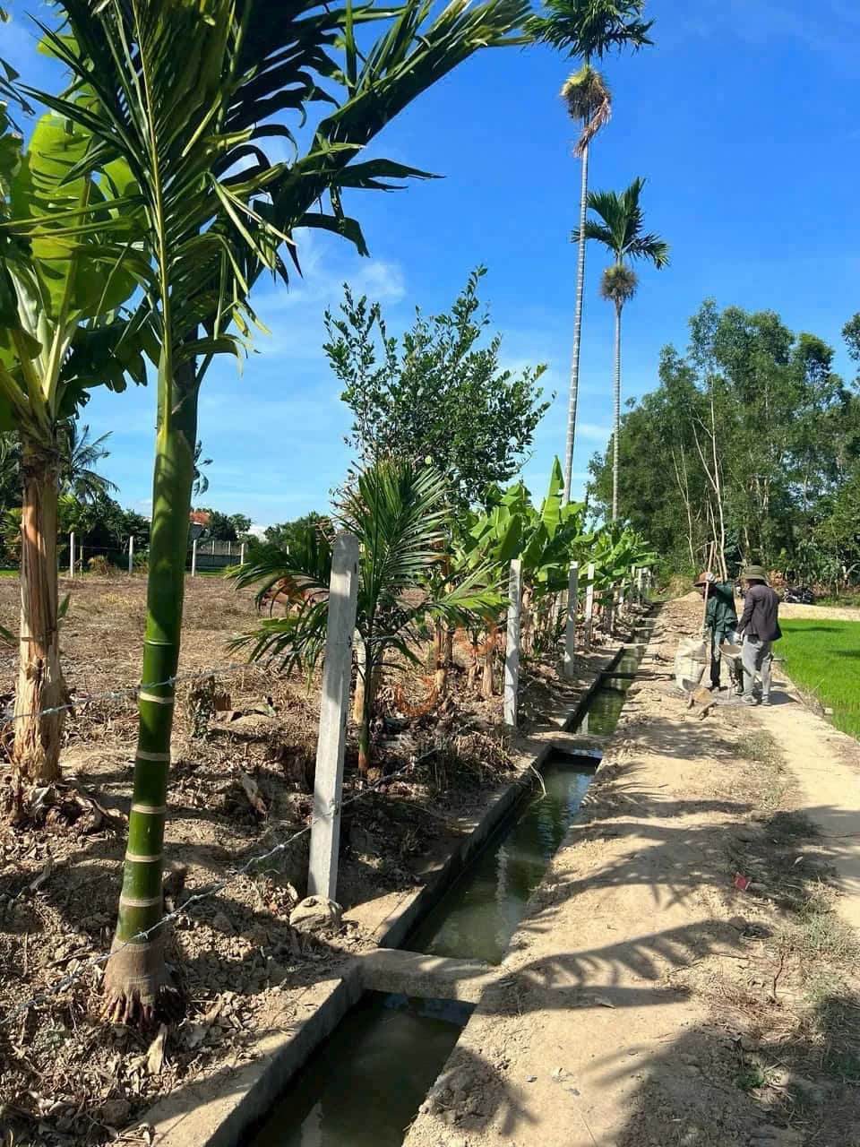 Bán đất Thôn Võ Kiện Huyện Diên Khánh, Khánh Hòa – giá 950 triệu — Hình 3 Bán đất Thôn Võ Kiện Huyện Diên Khánh, Khánh Hòa – giá 950 triệu — Hình 3