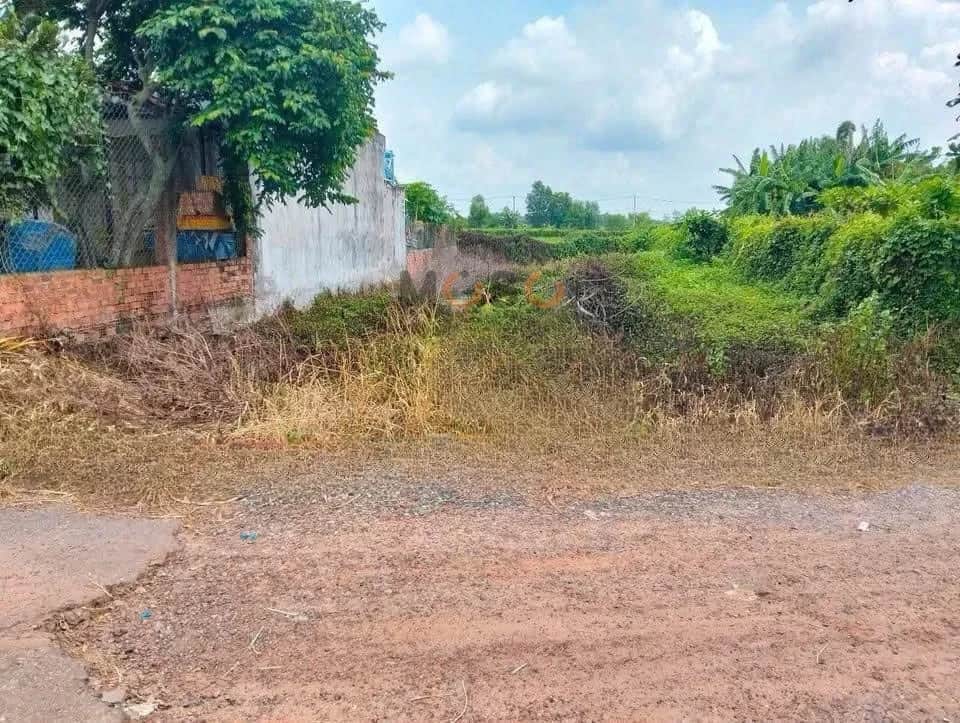 Bán đất Nguyễn Thị Bi Huyện Củ Chi, TP.HCM – giá 2.1 tỷ Bán đất Nguyễn Thị Bi Huyện Củ Chi, TP.HCM – giá 2.1 tỷ
