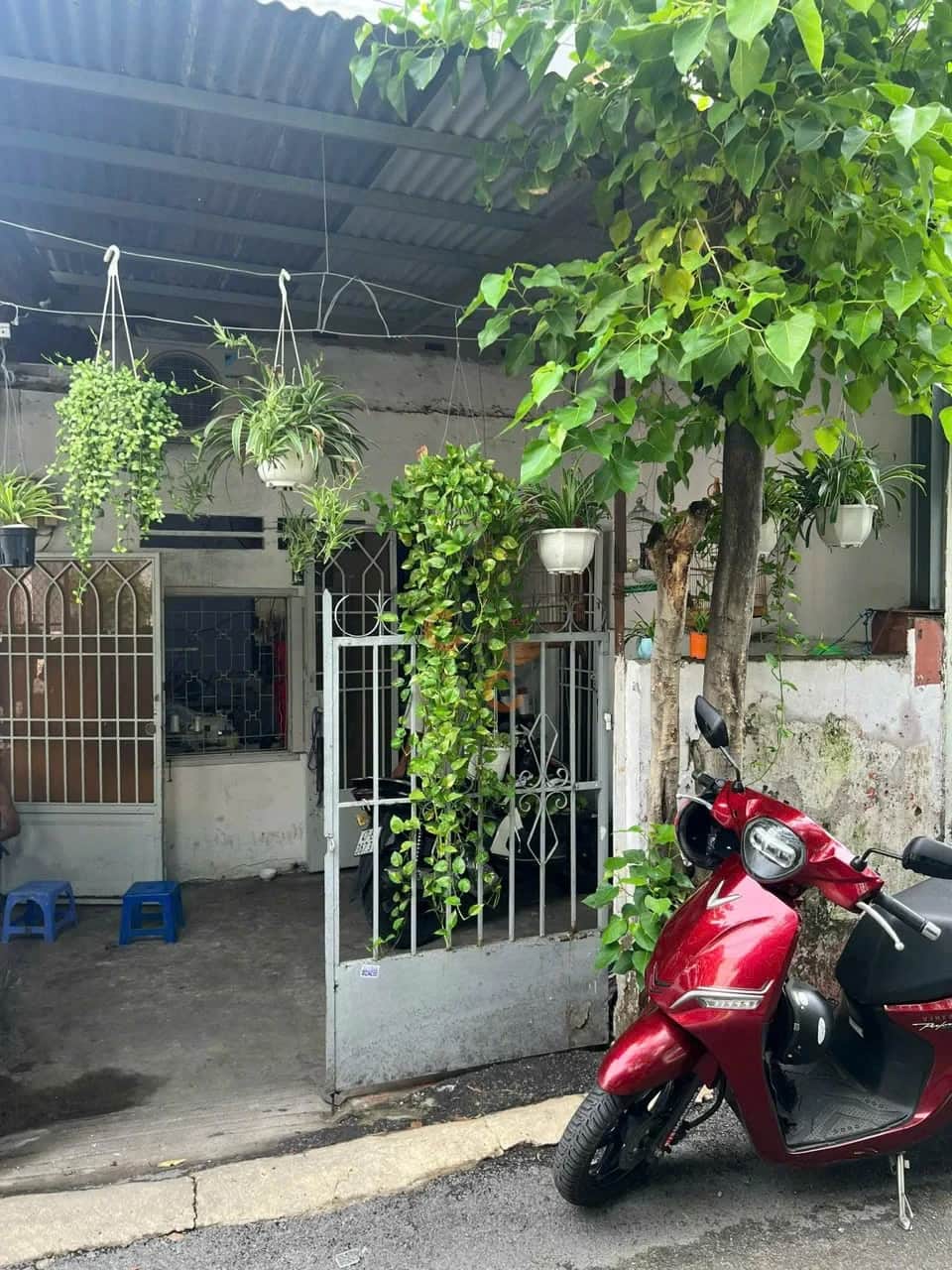 Bán nhà hẻm đường số 1 Quận Gò Vấp, TP.HCM – 2 phòng ngủ, giá 4.5 tỷ Bán nhà hẻm đường số 1 Quận Gò Vấp, TP.HCM – 2 phòng ngủ, giá 4.5 tỷ