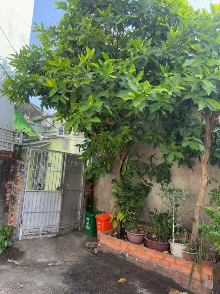 Hình ảnh nhà 3 Hình ảnh nhà 3