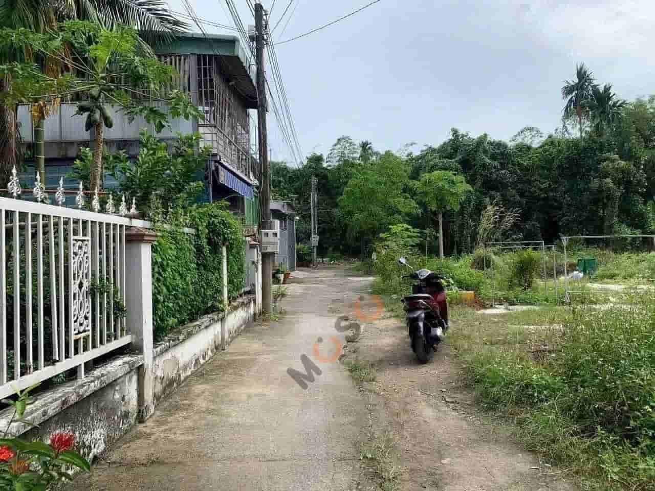 Image Image