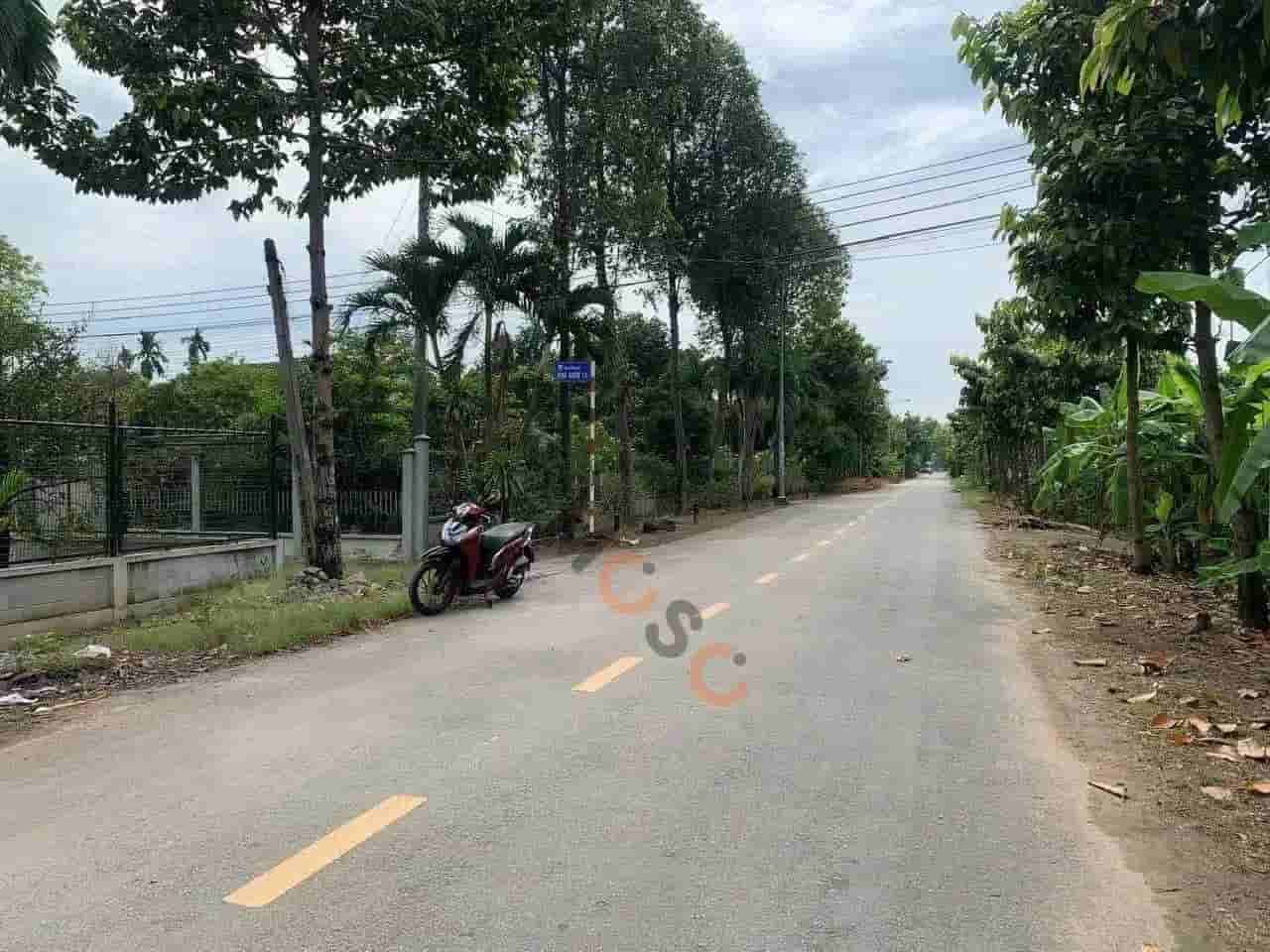 Image Image