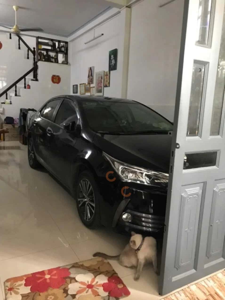 Hình ảnh nhà 2 Hình ảnh nhà 2