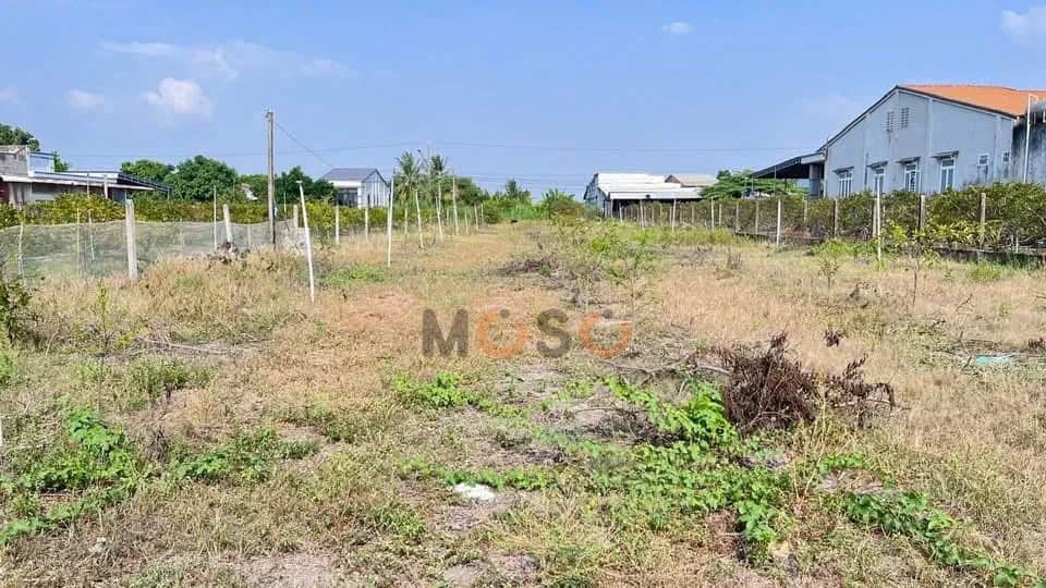 Bán đất Ấp Thạnh Lợi Thành phố Tây Ninh, Tây Ninh – giá 950 triệu Bán đất Ấp Thạnh Lợi Thành phố Tây Ninh, Tây Ninh – giá 950 triệu
