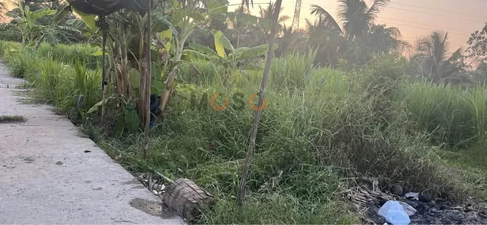Bán đất hẻm đường Một Quang, Ấp Phước Thuận Thành phố Mỹ Tho, Tiền Giang – giá 620 triệu Bán đất hẻm đường Một Quang, Ấp Phước Thuận Thành phố Mỹ Tho, Tiền Giang – giá 620 triệu