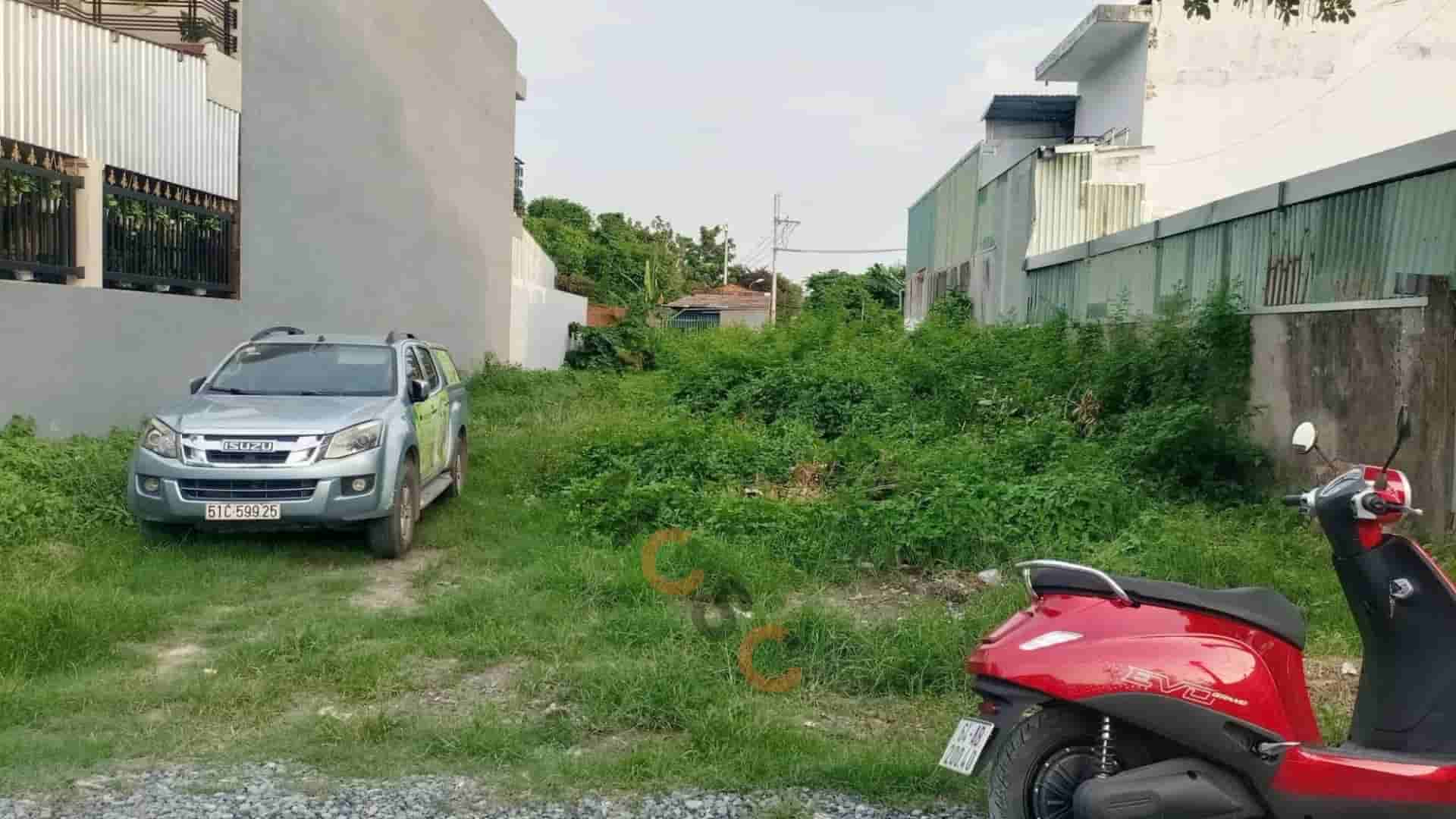 Image Image