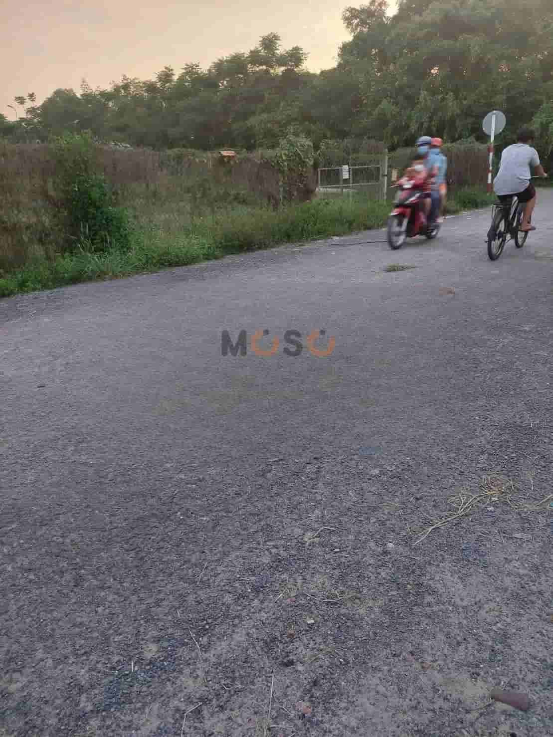 Image Image